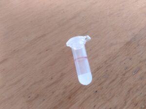 採血管