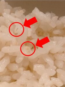 ７分づきの米を炊いたときに胚芽が少し残ってる様子