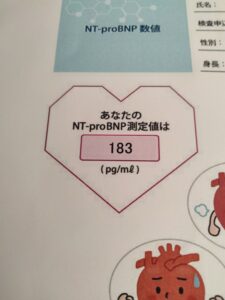 NT-proBNPの検査結果
